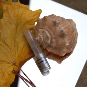 Куст чёрной смородины и ничего больше